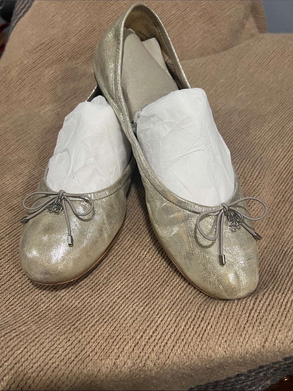 Sam Edelman silver metallic flats